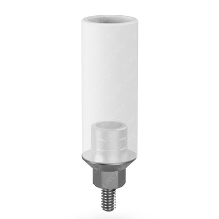 Chrome Cobalt Plastic Abutment