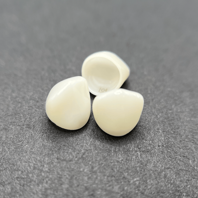 KTR Lower Left Cuspid Size 1 Standard Fit Zirconia