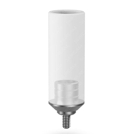 Rotational Chrome Cobalt Plastic Abutment