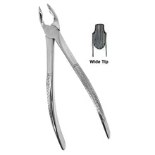 Deep Gripping Forceps # 35A Upper Incisors and Permolars Deep-gripping