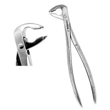 Deep Gripping Forceps # 336 Lower Premolars Deep-gripping