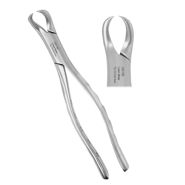 Extracting Forceps Lower Molar Fig. 23 Cow Horn