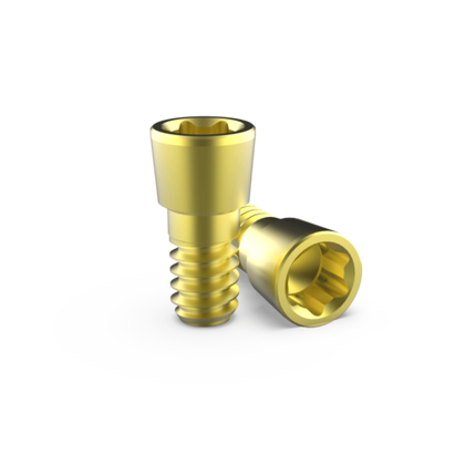 (X50) T5 Rosen Screw® 1.6mm (For T5 Driver)