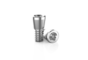 (X50) T5 Rosen Screw® 1.72mm (For T5 Driver)
