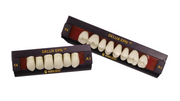 NOBILDENT Delux EPN Anterior Denture Teeth