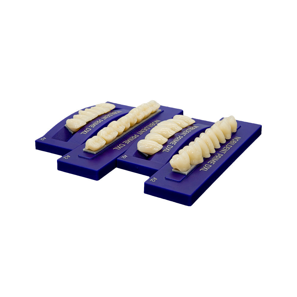 Nobildent Prime DXL Artificial Denture Teeth Posteriors 0°, 10° and 20°