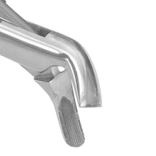 Extracting Forceps Fig. 24 upper molars