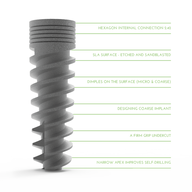 Spiral Implant Sizes 11.5MM