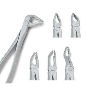 Prime Line Universal Atraumatic Extracting Forceps. Set of 6. Forceps