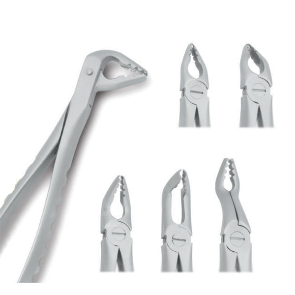 Prime Line Universal Atraumatic Extracting Forceps. Set of 6. Forceps