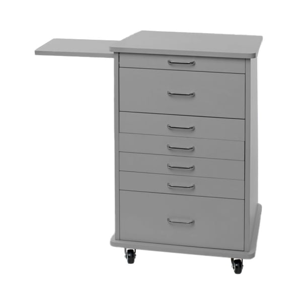 TPC Assistant's (North Carolina) Mobile Cabinet - Grey. Dimensions: 21.5